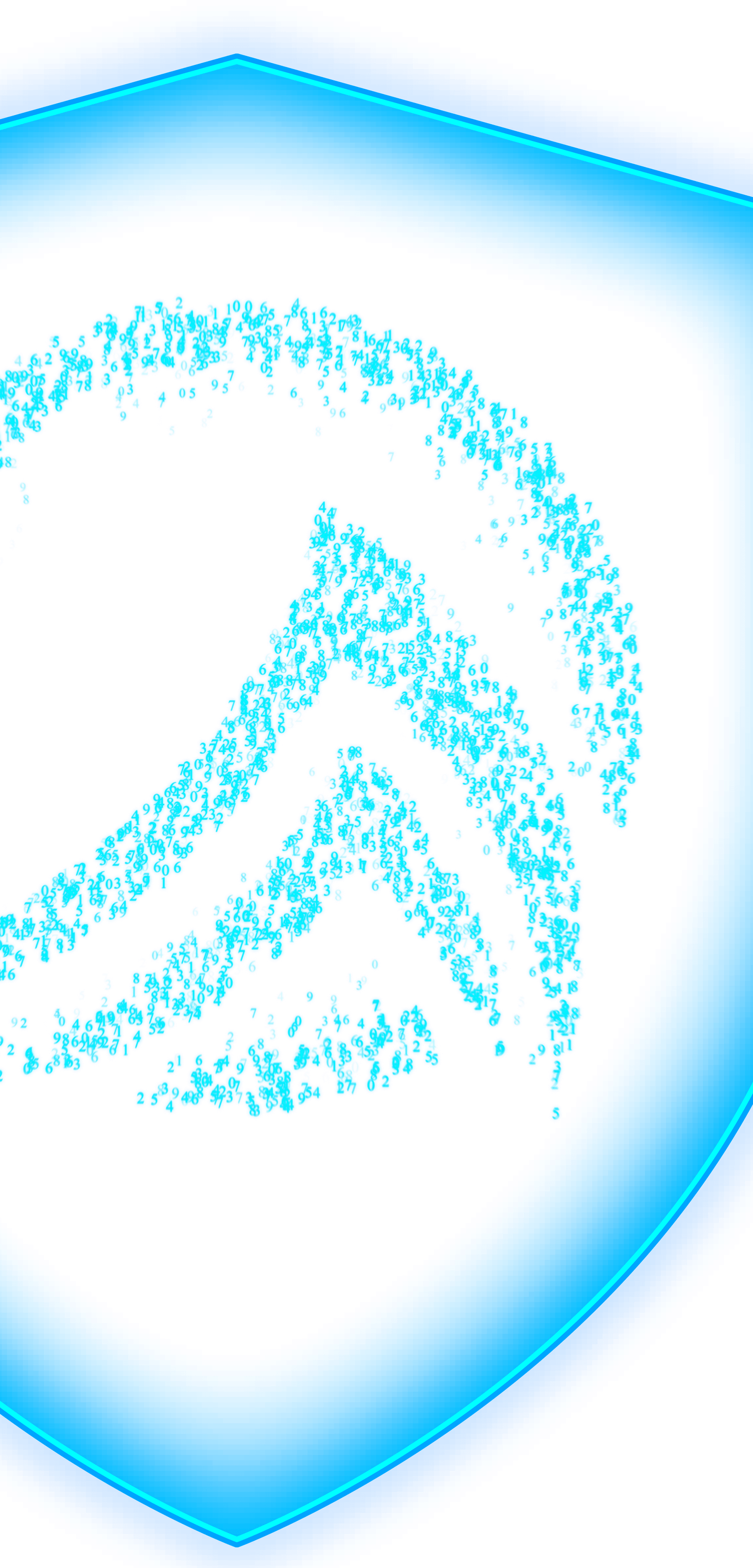 AegisX BACK 1080 SHIELD 5 (1)