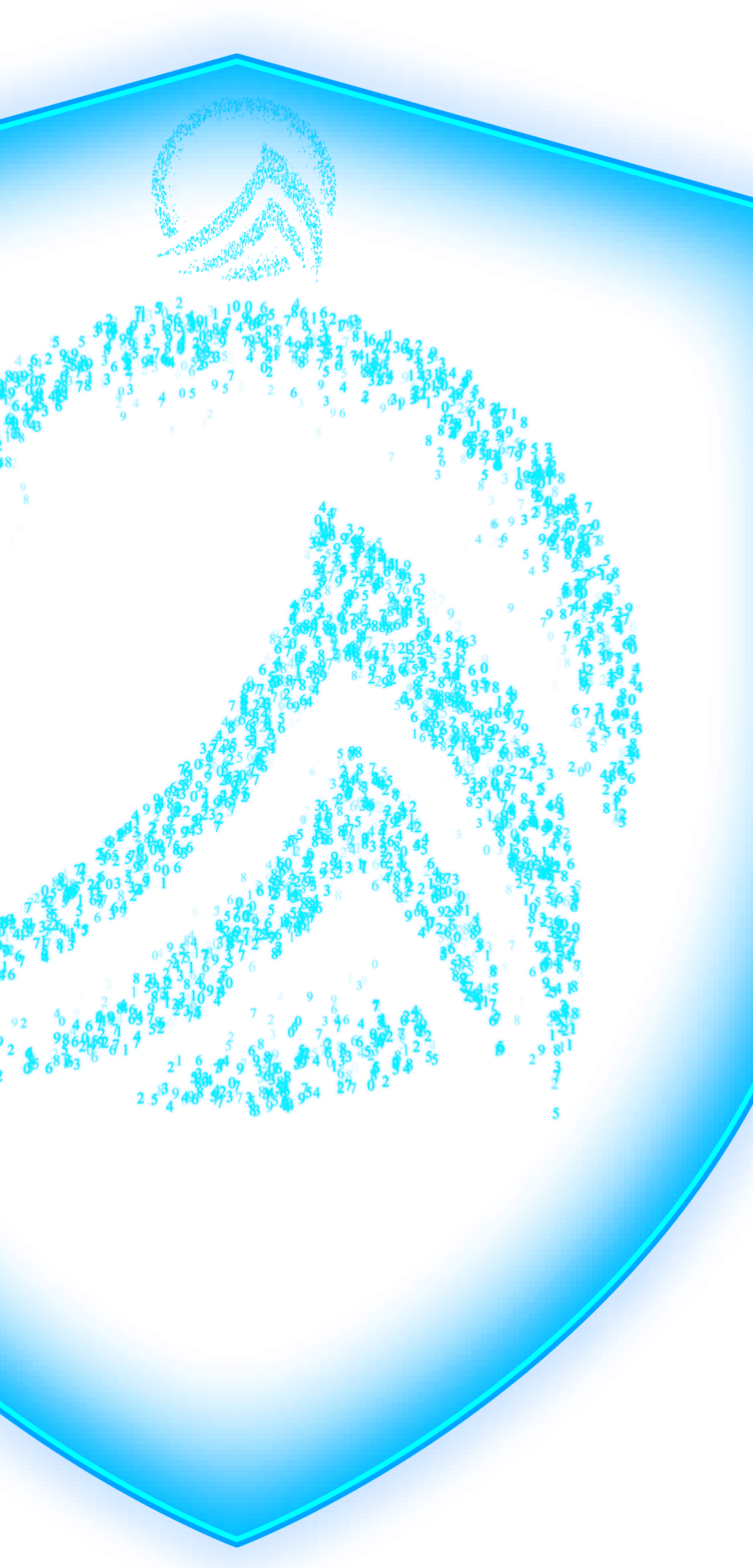 AegisX BACK 1080 SHIELD 6